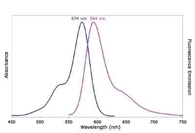 Absorbance and Fluorescence Emission